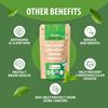 Organic Green Tea 