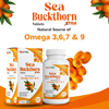 Picture of GoYNG Seabuckthorn