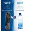 Picture of WellthyLife pHusion Water Bottle