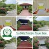 Picture of WellthyLife Camp Kit for Hyderabad COC - 26 to 28 July 25