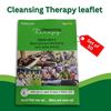 Picture of BSM Therapy Leaflet (Set of 50)